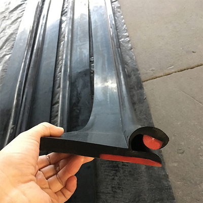 لاستیک دامن نوار نقاله دولایه تسمه نقاله نوع Y Dual Seal Skirt Board